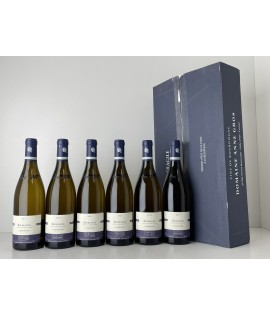 ANNE GROS BOURGOGNE BLANC 2021