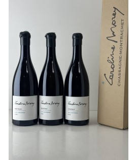 CAROLINE MOREY SANTENAY LES...