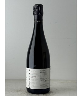JACQUES SELOSSE LIEUX DITS...