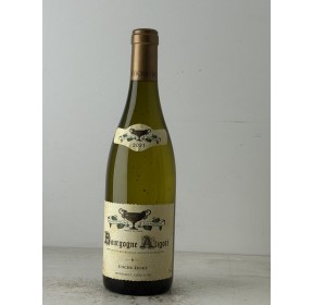 copy of COCHE...