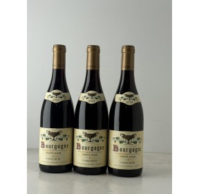 copy of COCHE...